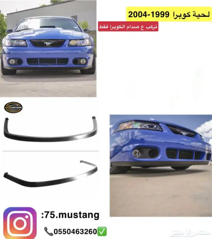 لحية موستنج 1999-2017 عرض اليوم الوطني 9