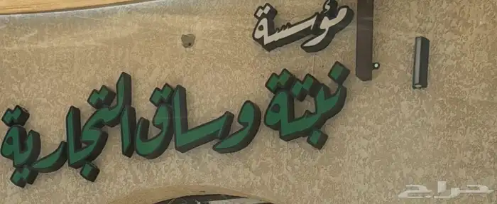 شتلات متنوعة بأسعار منافسة 1