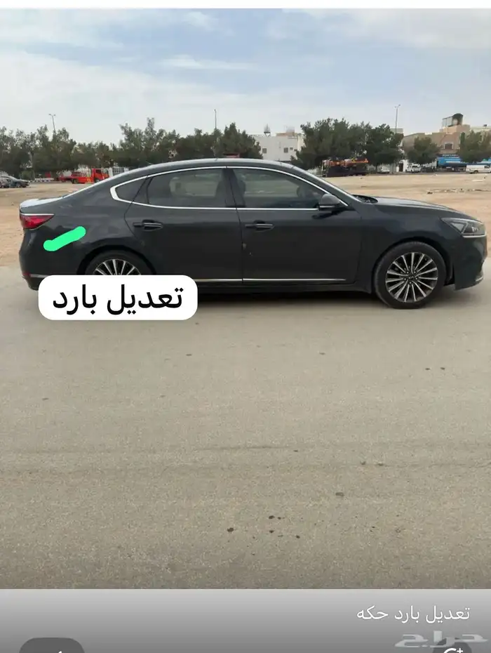 كادنزا 2018 1