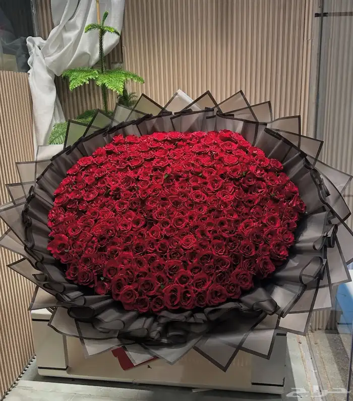 هدايا جدة مندوب ورد وطلبات خاصة 14