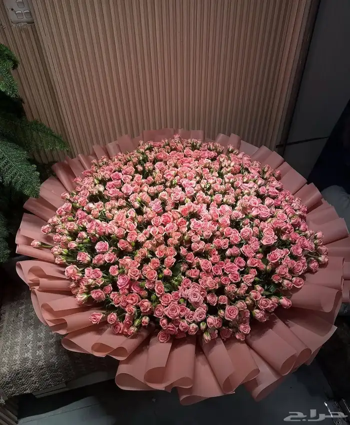 هدايا جدة مندوب ورد وطلبات خاصة 12