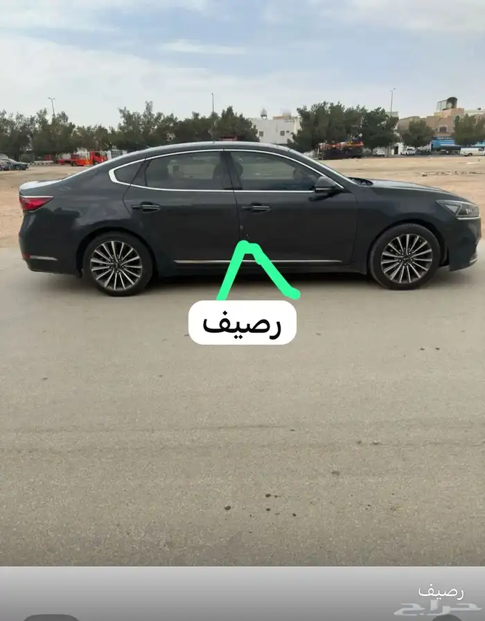 كادنزا 2018 3