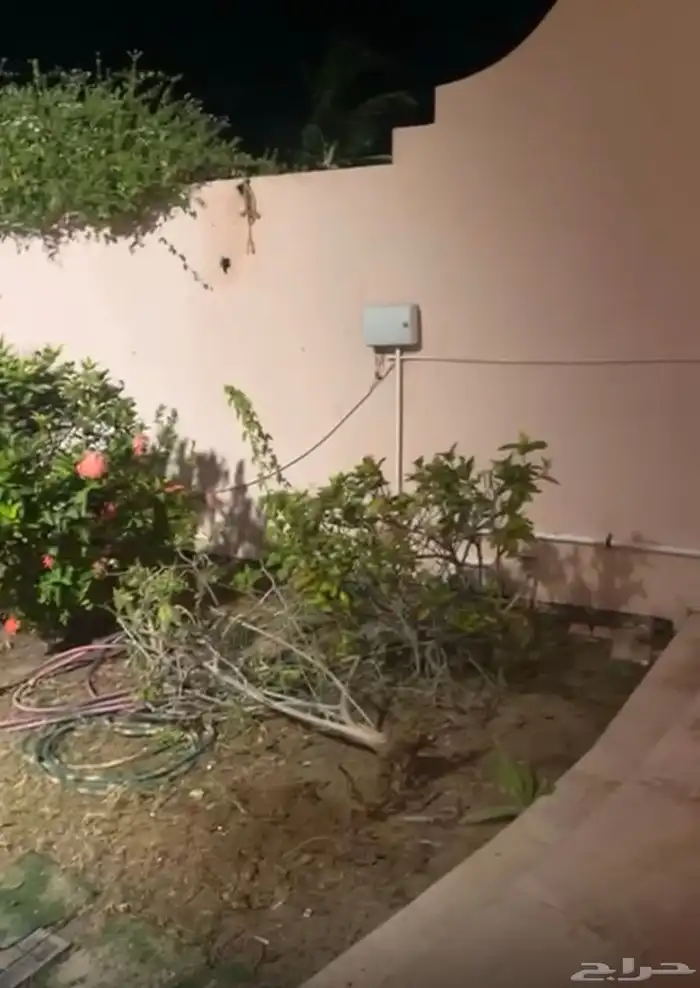 ثيل طبيعي نجيل مشروط ومضمون 4