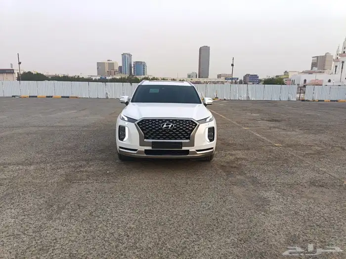 باليسيد 2022 ممشى قليل 4