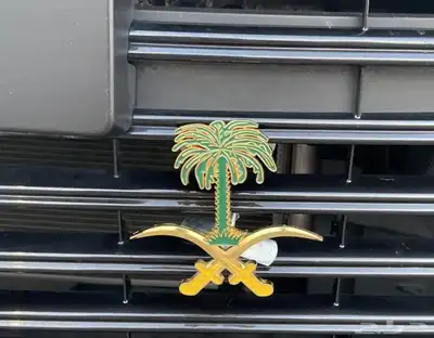 سيفين ونخله على الشبك الامامي للسياره index