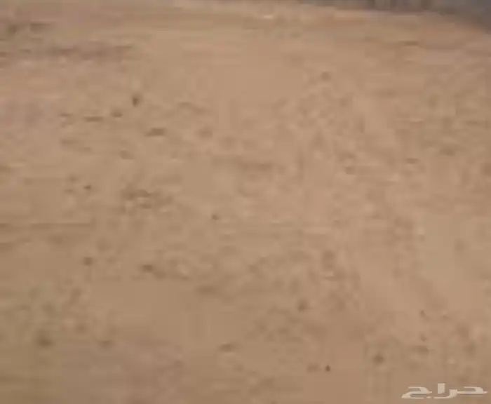للبيع حوش في بيشة 0