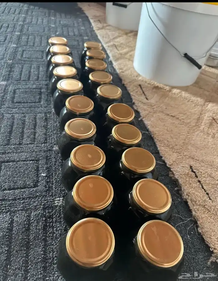 عسل طلح حايل 0