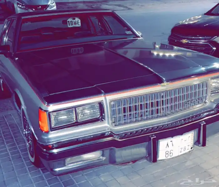 كابرس 86 صنف مخزن اليتيم 41