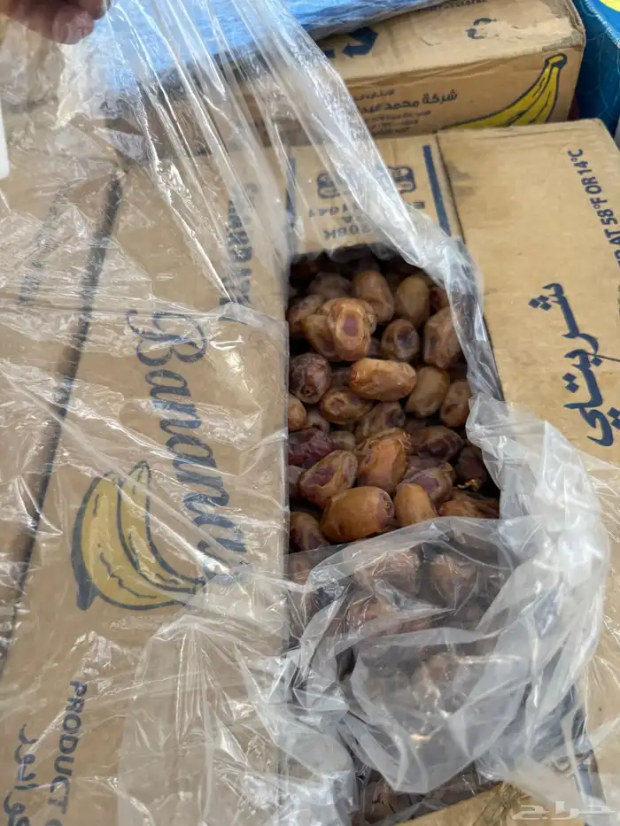 تمور تمر خلاص حساء فاخر السليل الرياض ودي الدواسر 1