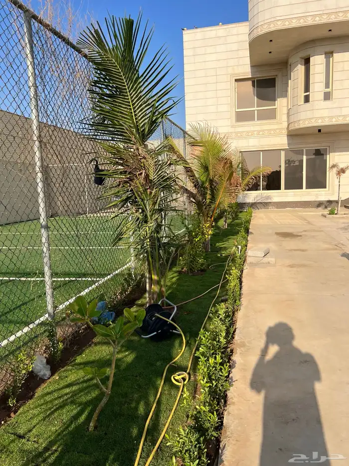 ثيل طبيعي نجيل مشروط ومضمون 19