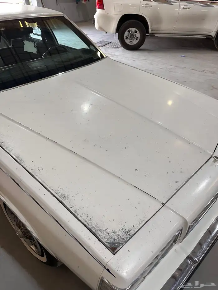كابرس 89 بدي وكاله 11