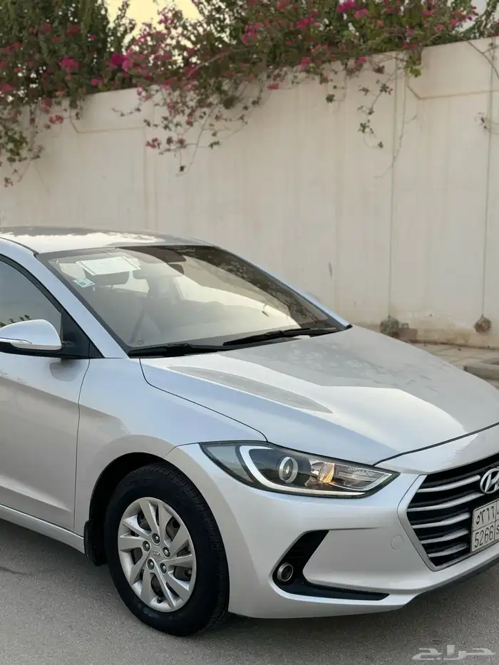 مباع مباع مباع 19