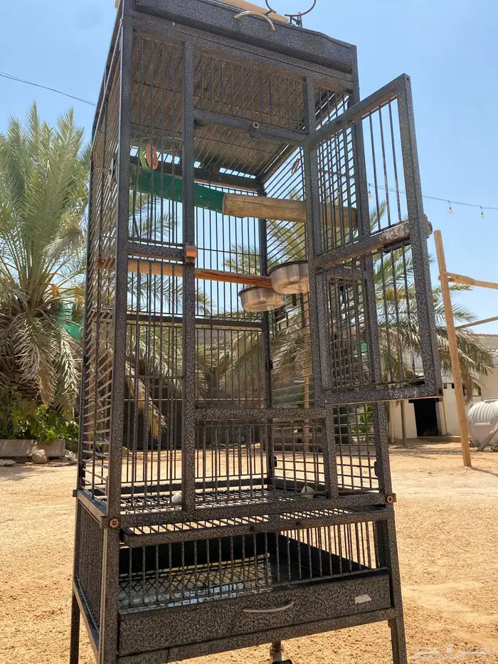 قفص ببغاء 5