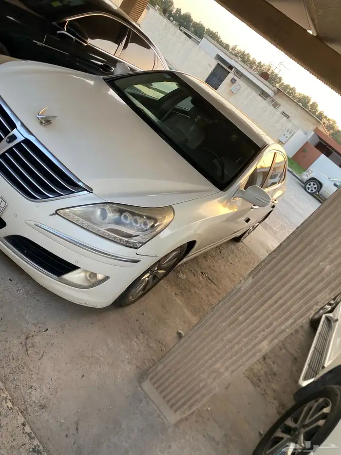 سته سرندل 0