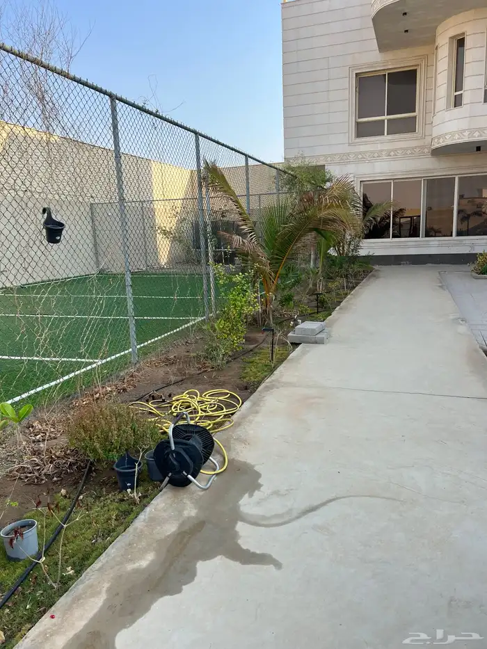 ثيل طبيعي نجيل مشروط ومضمون 16