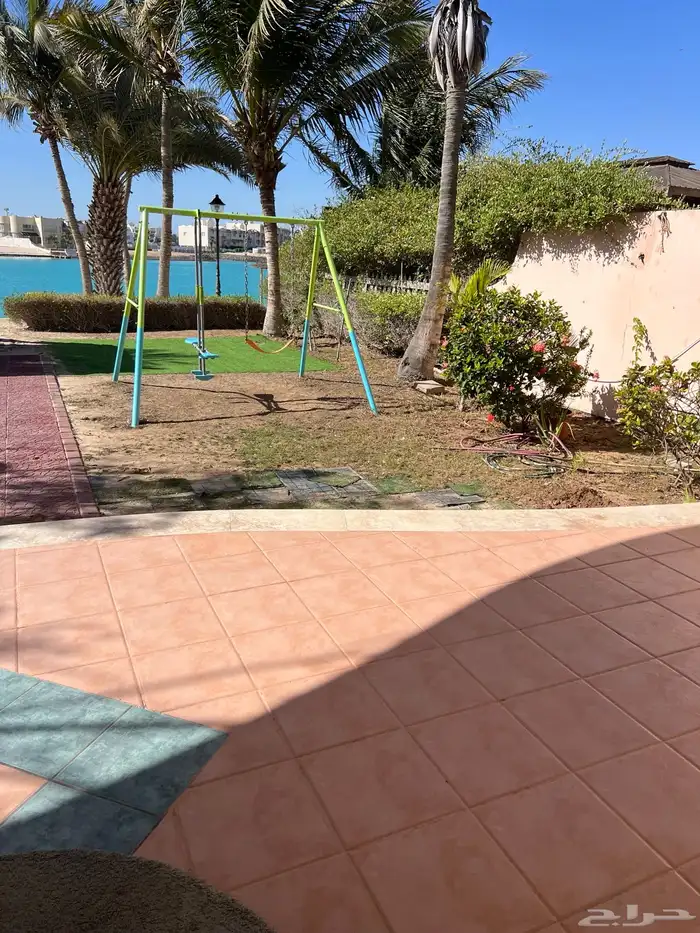 ثيل طبيعي نجيل مشروط ومضمون 7