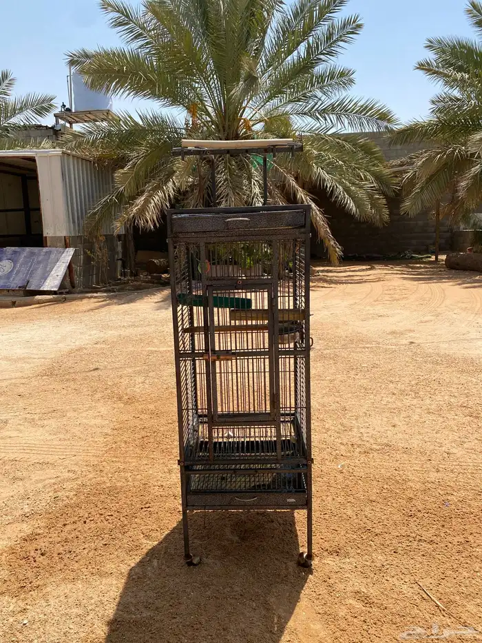 قفص ببغاء 0