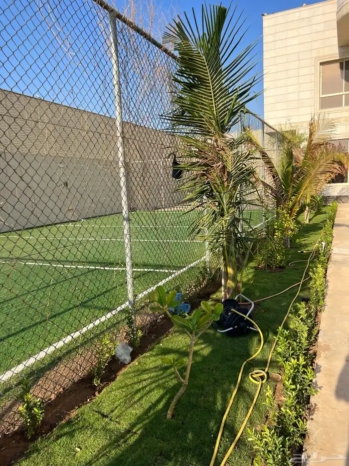 ثيل طبيعي نجيل مشروط ومضمون 18