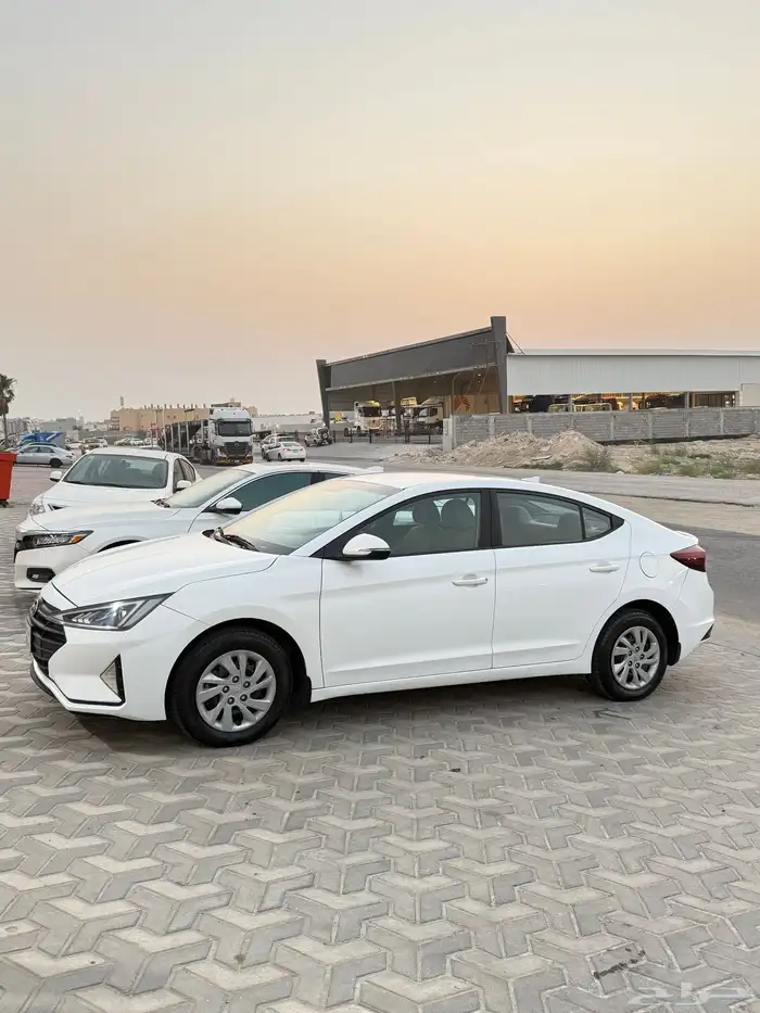 النتراء 2020 المجدوعي 1600 1