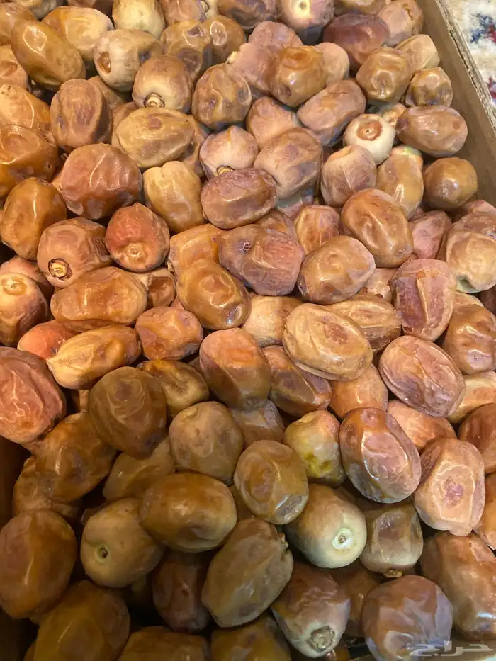 روثانه 80 كرتون 2