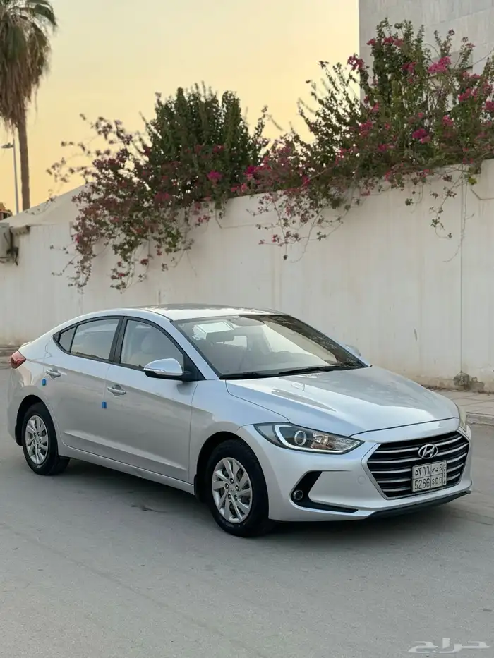 مباع مباع مباع 10