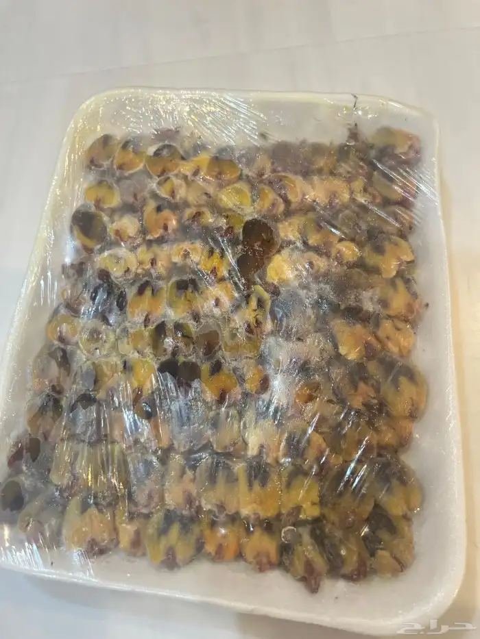 طيور دخل مصري منظف من الداخل 2
