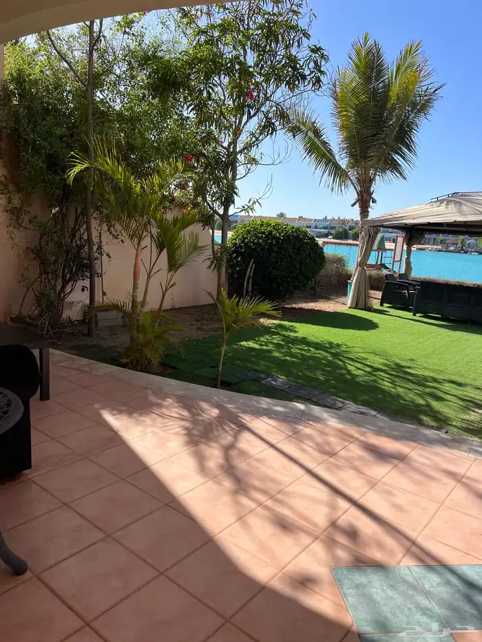 ثيل طبيعي نجيل مشروط ومضمون 8