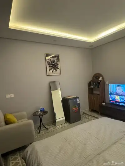 استديو يومي index