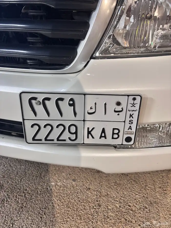 للبيع لوحه خصوصي على السوم اورقها سليمه 0