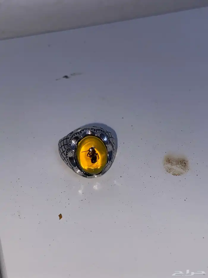 خاتم فضه محنطه داخله نمله نادر 3