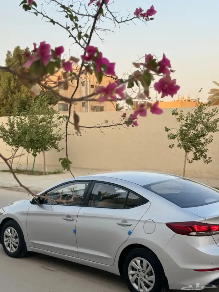 مباع مباع مباع 15