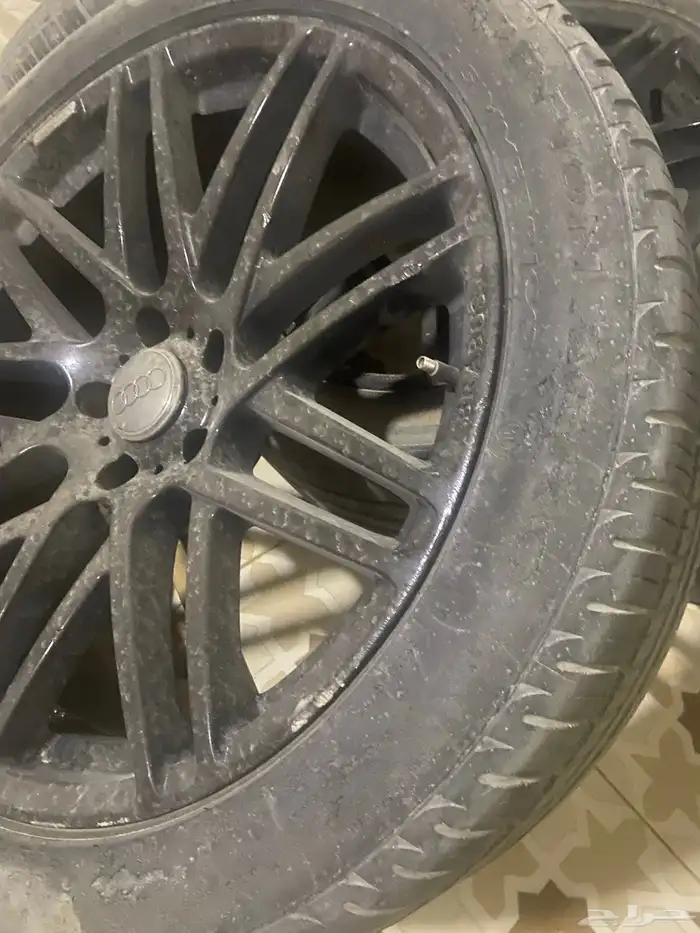 جنوط برابوس 0