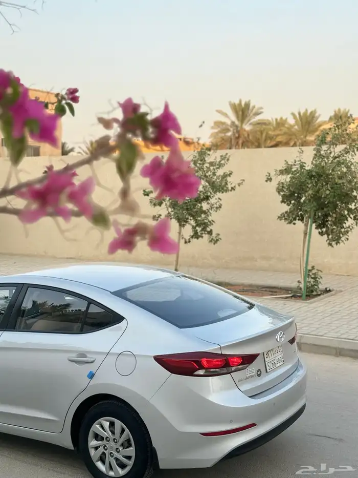 مباع مباع مباع 4