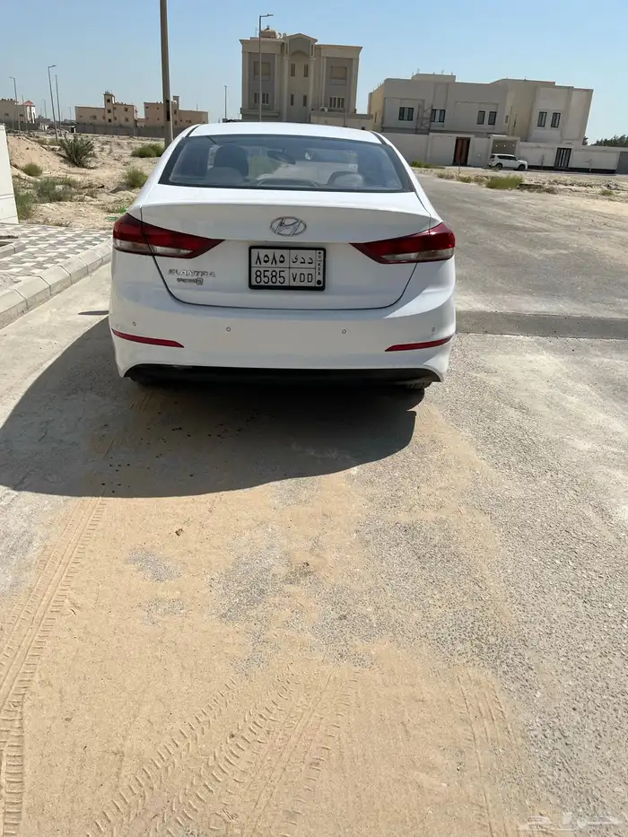 النترا 2017 4