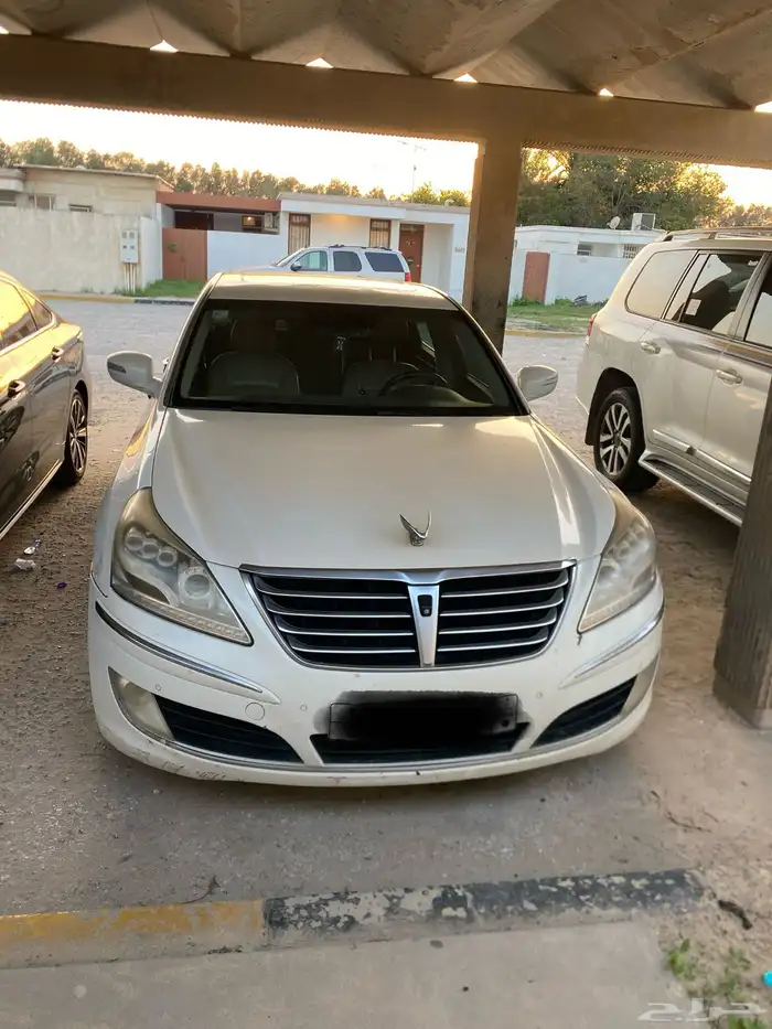 سته سرندل 1