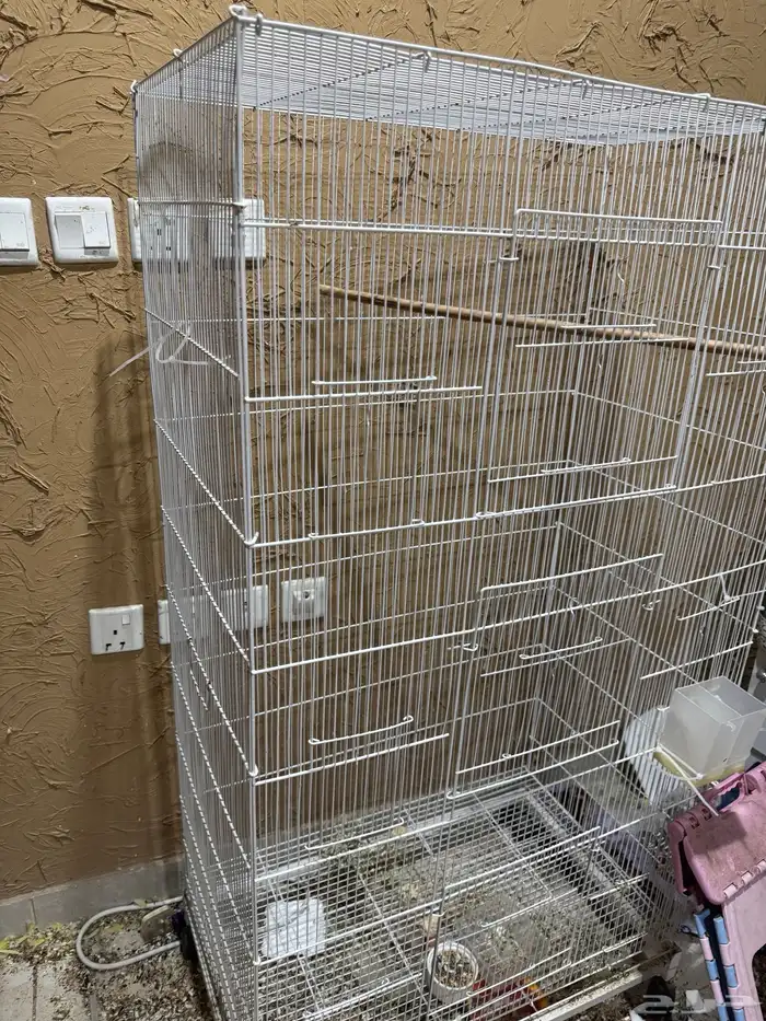 شبوك طيور 0