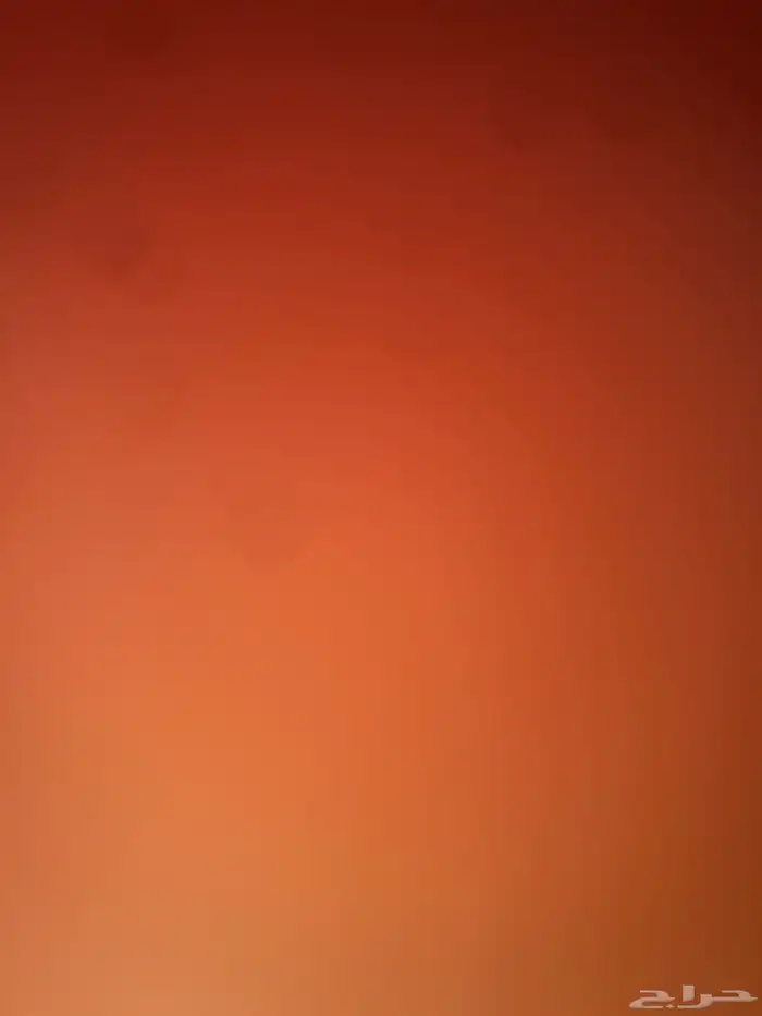 صيصان فيومي قولد 0