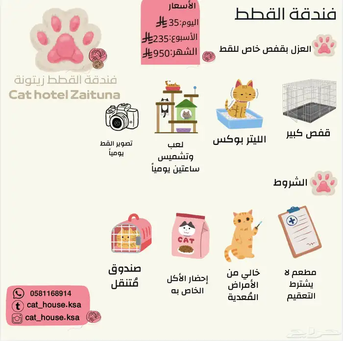 عروض يوم الوطني على الفندقة القطط 3