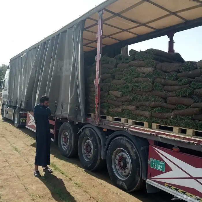 ثيل طبيعي نجيل مشروط ومضمون 2