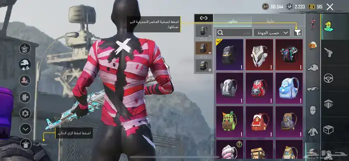 حساب ببجي العالمية 19