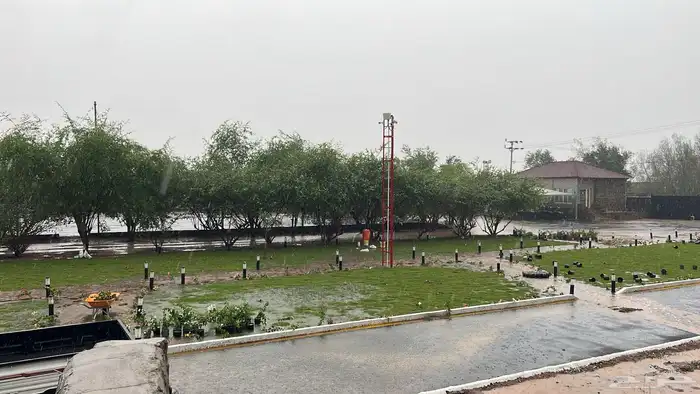 ثيل طبيعي نجيل مشروط ومضمون 22