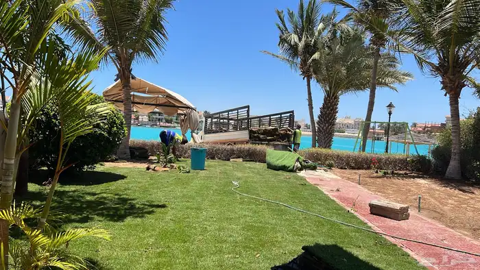 ثيل طبيعي نجيل مشروط ومضمون 9