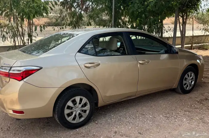 كورولا 2018 5
