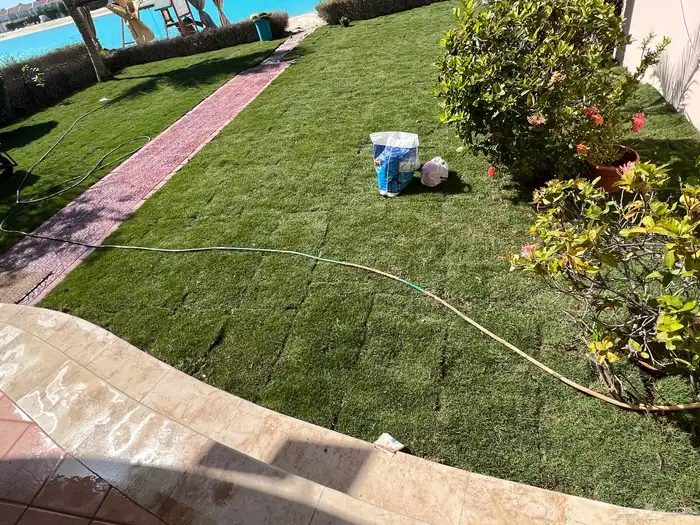 ثيل طبيعي نجيل مشروط ومضمون 10