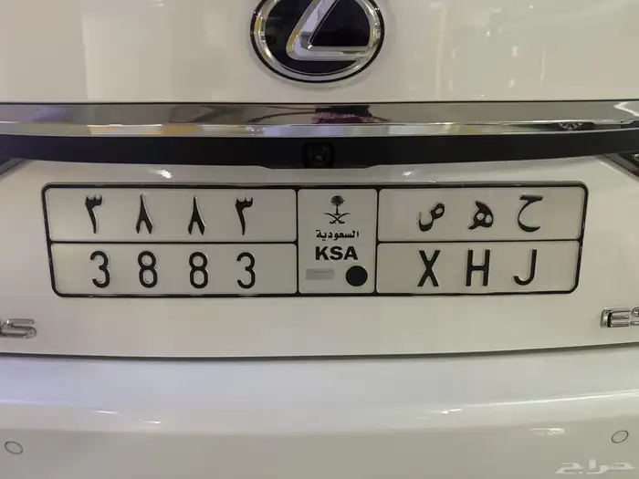 لوحة شبه مميزة 3883 للبيع 0