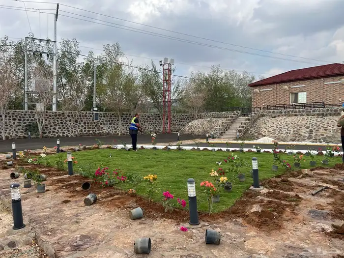 ثيل طبيعي نجيل مشروط ومضمون 21