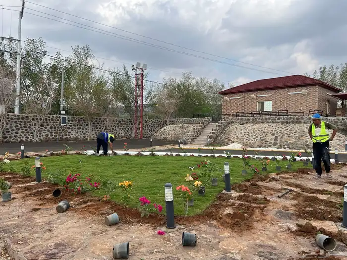 ثيل طبيعي نجيل مشروط ومضمون 20