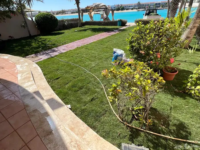 ثيل طبيعي نجيل مشروط ومضمون 11