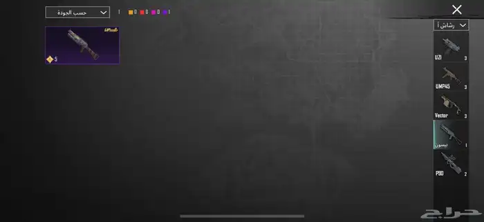 حساب ببجي فيه12 حساب ببج للبيع والصور شاهده شوفو نبي الصامل 46