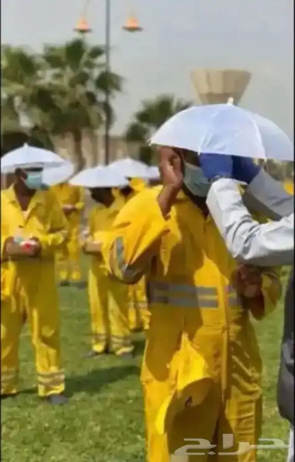 شماسي راس تحمي من اشعة الشمس للعمال والتوزيع الخيرى 6